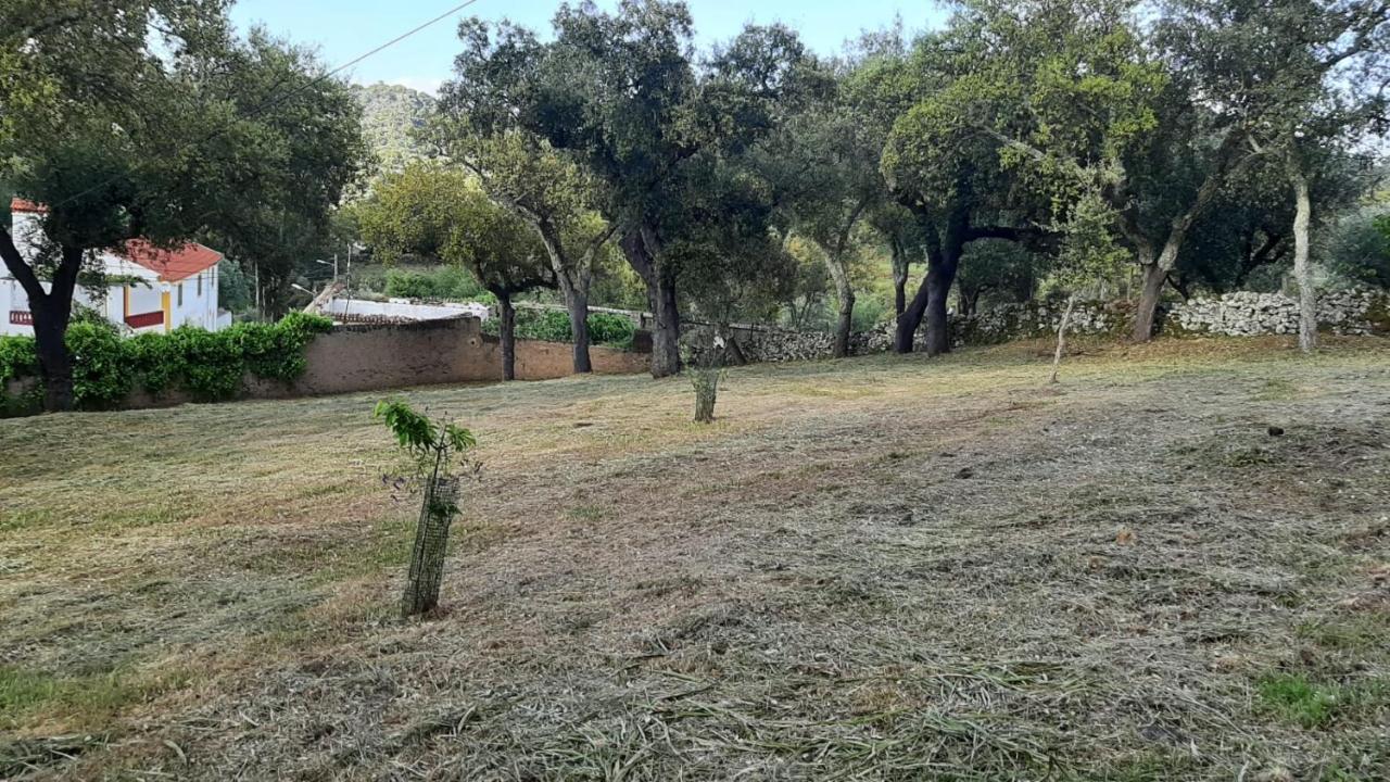 Villa Casa Do Passaro Galegos  Esterno foto