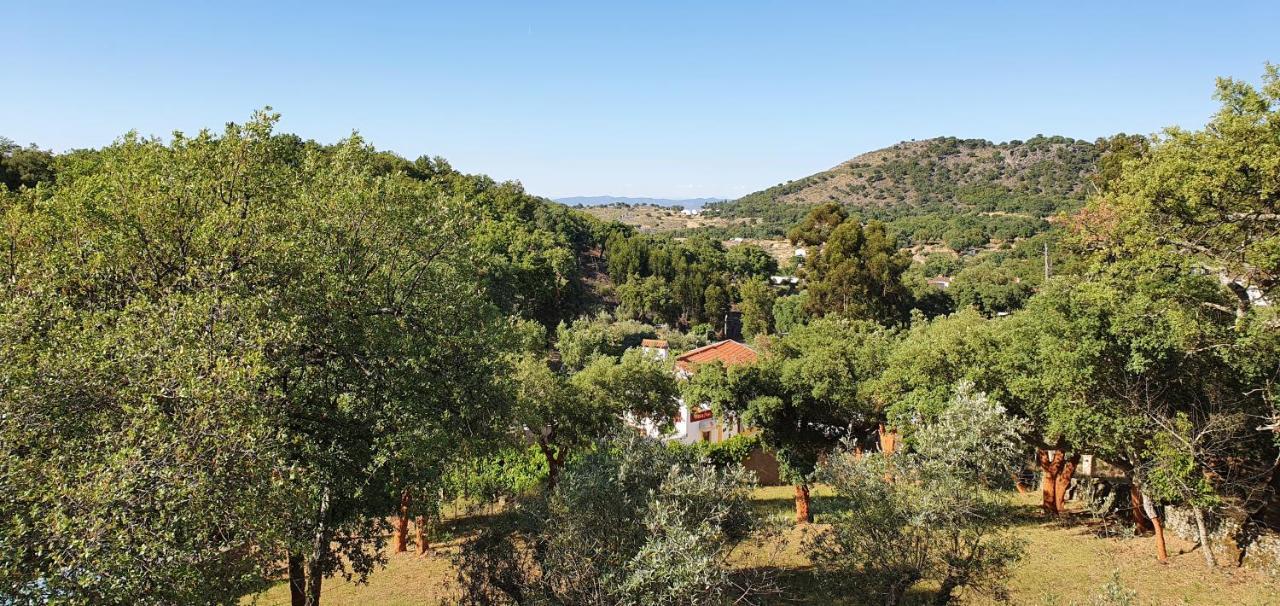 Villa Casa Do Passaro Galegos  Esterno foto
