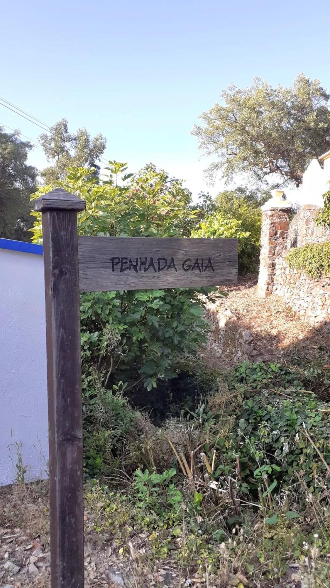 Villa Casa Do Passaro Galegos  Esterno foto